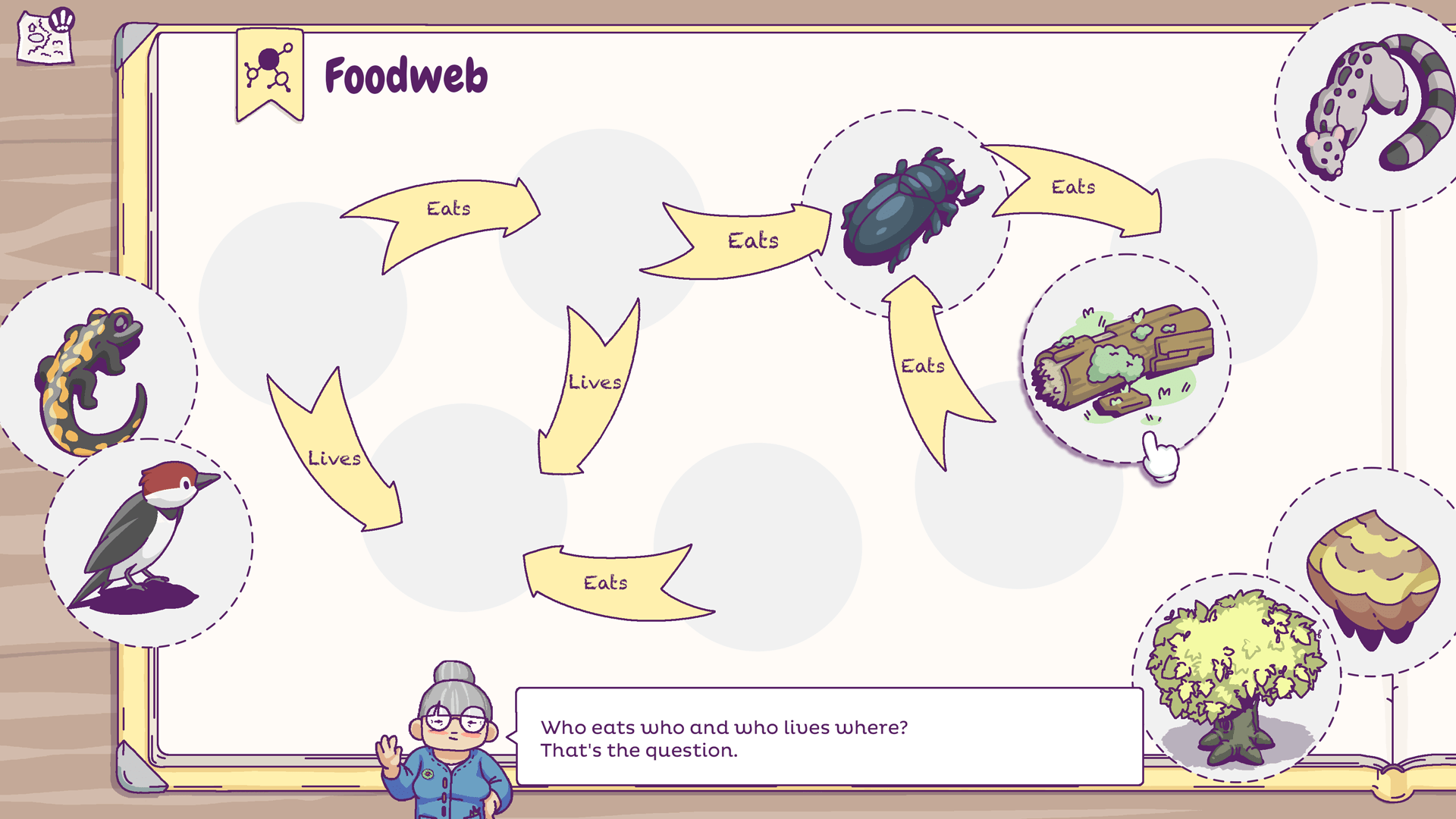 Foodweb